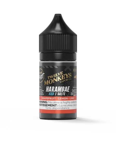 Flavour Beast x 12 Monkeys Harambae Salt